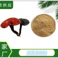灵芝浓缩粉厂家