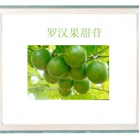 罗汉果甜苷厂家
