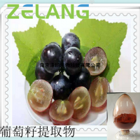葡萄籽提取物原花青素,Proanthocyanide