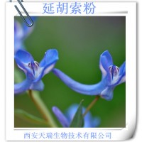 延胡索提取物的价格