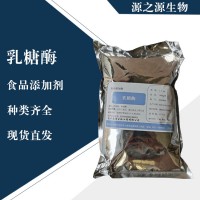 直销乳糖酶
