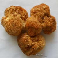 猴头菇提取物水溶