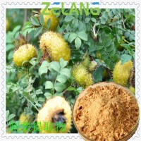 刺梨提取物VC5%，刺梨浓缩粉