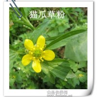 橘皮提取物的供应