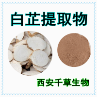 白芷提取物白芷熟化粉白芷萃取原液
