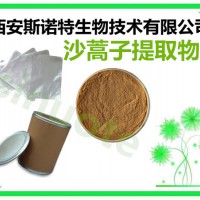 黑沙蒿子提取物 沙蒿草粉 10:1 国内外好评
