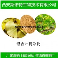 银杏叶提取物 天然银杏叶粉 库存现货 包邮