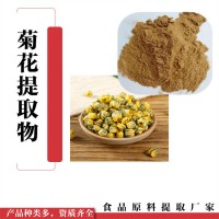 菊花提取物 水溶浓缩菊花粉