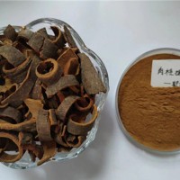 肉桂提取物 水溶浓缩肉桂粉