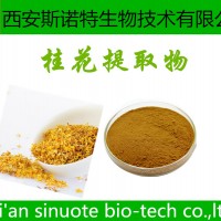 桂花提取物 10:1 桂花粉 斯诺特生物