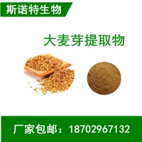 麦芽粉 大麦芽提取物 大麦芽碱98% 工厂现货