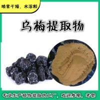 乌梅提取物 精细粉末 乌梅粉