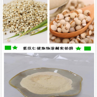 薏苡仁提取物 精细粉末 薏苡仁粉