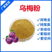 乌梅粉 水溶性乌梅浓缩粉80目 乌梅提取物