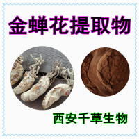 金蝉花提取物 供应各类提取物 定制颗粒浸膏