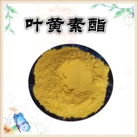 叶黄素酯 规格10%-60%
