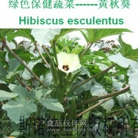 黄秋葵提取物 斯诺特生物 包邮