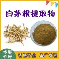 白茅根提取物  精细粉末  白茅根粉