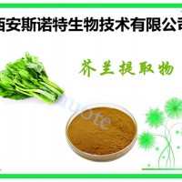 芥兰提取物 参数 10:1 sinuote生物