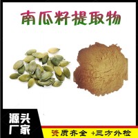 南瓜籽提取物 精细粉末 南瓜籽粉