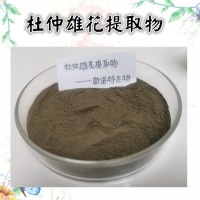 杜仲雄花提取物 新食品原料