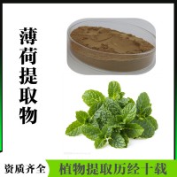 薄荷提取物  精细粉末  薄荷粉