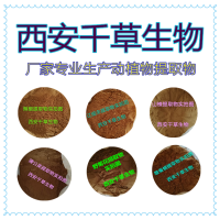 人参浓缩粉药食同源 供应提取物定做浓缩浸膏