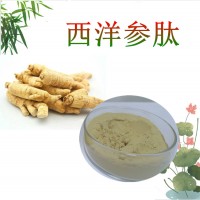 西洋参肽   西洋参小分子肽