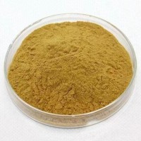 天花粉提取物 10:1纯粉