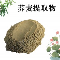 荞麦提取物  荞麦粉
