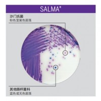 梅里埃SALMA 沙门氏菌显色培养基供应