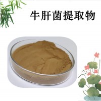 牛肝菌提取物  主要成分多糖