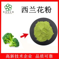 西兰花粉99% 蔬菜粉 烘焙原料粉 西蓝花粉 源头生产厂家