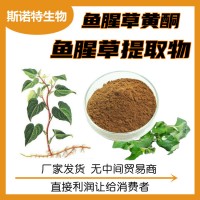 鱼腥草提取物 10:1水溶性鱼腥草粉 固体饮料