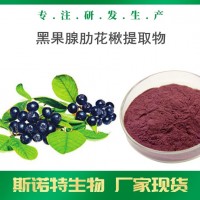 黑果腺肋花楸提取物 全水溶野樱莓 不老莓提取物