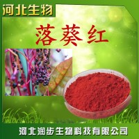 专业供应 食品级 食用色素 落葵红 着色剂