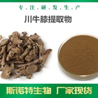 川牛膝提取物 厂家可定制生产 川牛膝浸膏