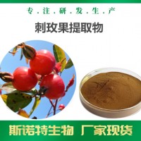 刺玫果提取物 全水溶刺玫果粉