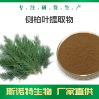 侧柏叶提取物 厂家可定制生产 侧柏叶浸膏