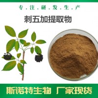 刺五加提取物 刺五加苷 全水溶刺五加浓缩粉