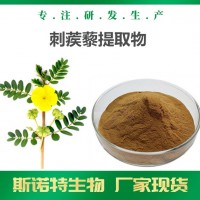刺蒺藜提取物 厂家供应 多规格刺蒺藜皂甙