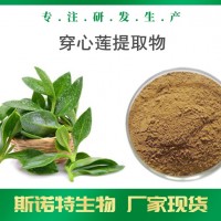 穿心莲提取物 厂家可定制生产 穿心莲浸膏