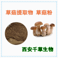 草菇提取物草菇浓缩汁粉 供应菌菇浓缩浸膏菌菇颗粒