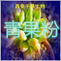 青果植物提取物粉专业按需定制浓缩低温烘焙干燥性味纯正易溶