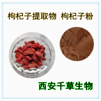 枸杞子提取物 供应植物提取物 定制浓缩浸膏干膏颗粒
