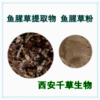 鱼腥草提取物鱼腥草浓缩粉 供应植物提取物鱼腥草粉