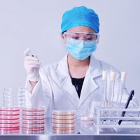 中广测提供宠物用品检验检测综合技术服务
