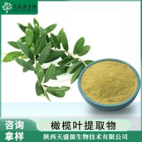橄榄叶提取物 橄榄苦甙20% 油橄榄提取物 橄榄苦苷