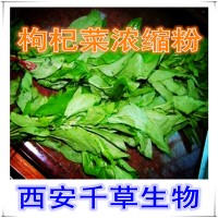 水溶性枸杞菜提取物 枸杞菜浓缩汁粉定做甜菜子浓缩流浸膏