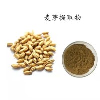麦芽提取物 20:1含量 水溶麦芽粉